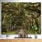 Designart - Live Oak Tunnel - Photography Print on Natural Pine Wood